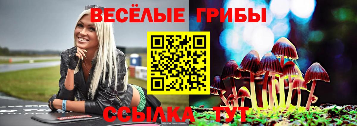 Псилоцибиновые грибы GOLDEN TEACHER Ангарск